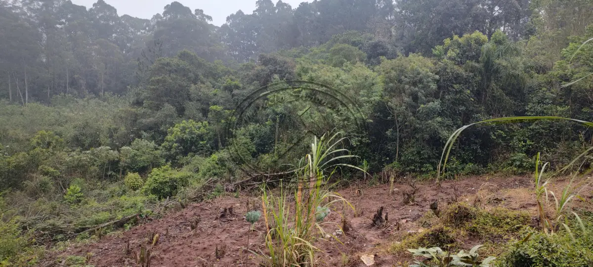 Terreno no Arroio da Manteiga (foto 9 de 12)