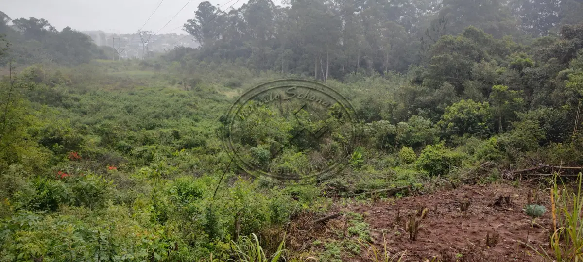 Terreno no Arroio da Manteiga (foto 8 de 12)