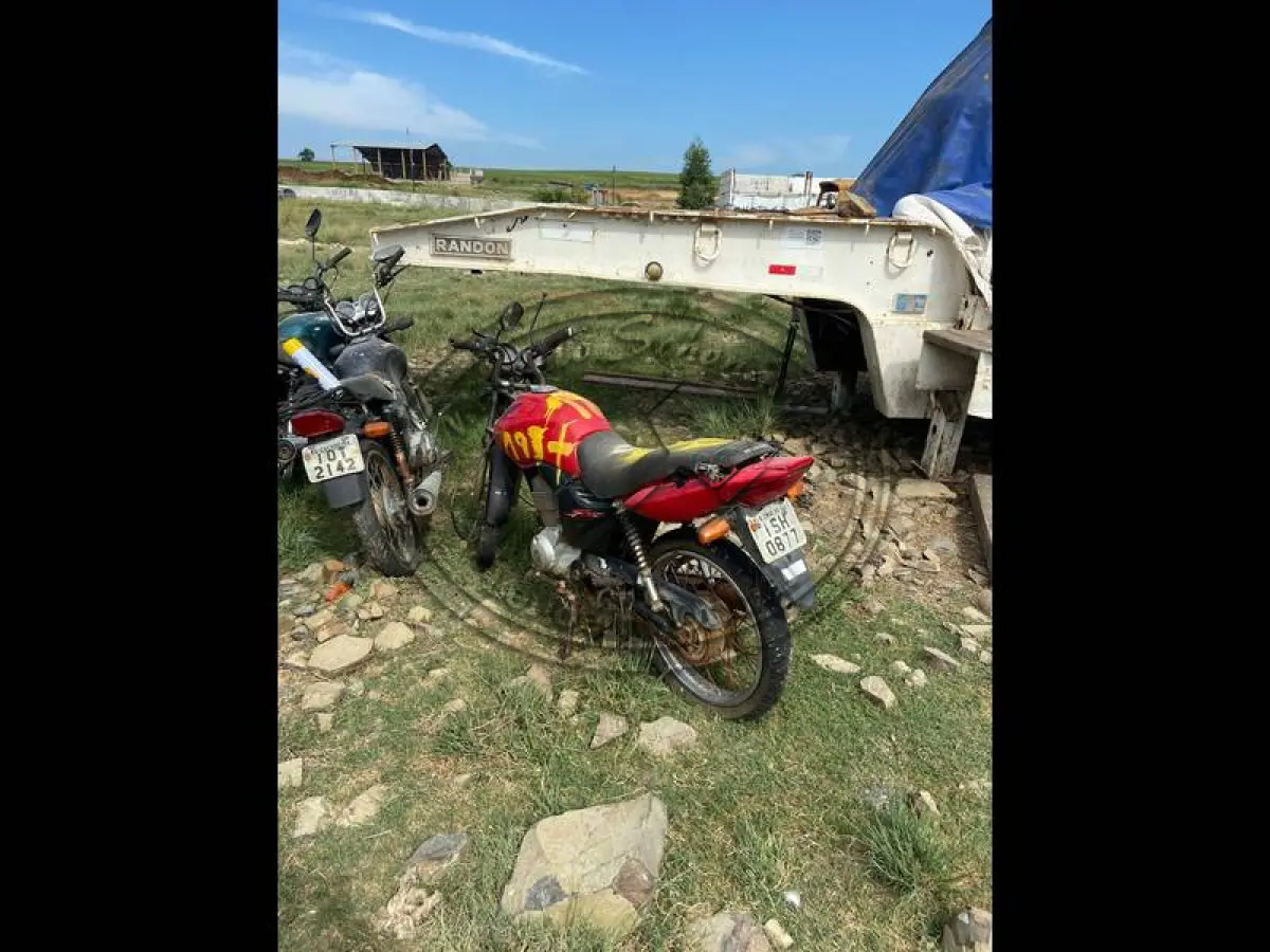 LOTE 0193