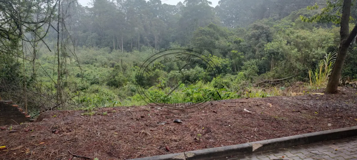 LOTE 001 - 01 área de terras com 116.432,60m², localizada na Rua Quimisinos, s/nº, Arroio da Manteiga, São Leopoldo- RS