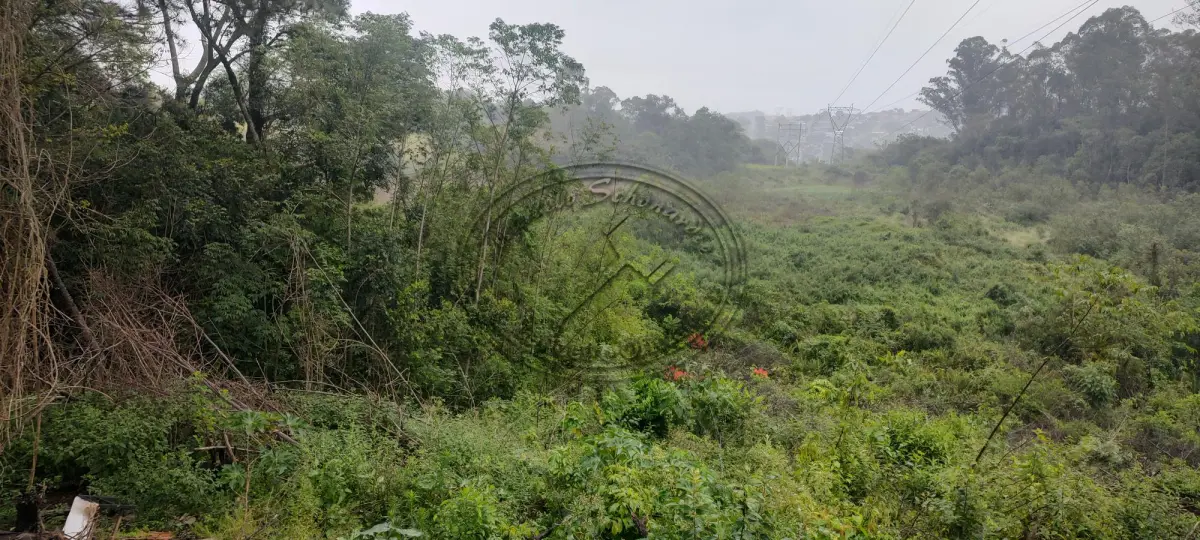 LOTE 001 - 01 área de terras com 116.432,60m², localizada na Rua Quimisinos, s/nº, Arroio da Manteiga, São Leopoldo- RS