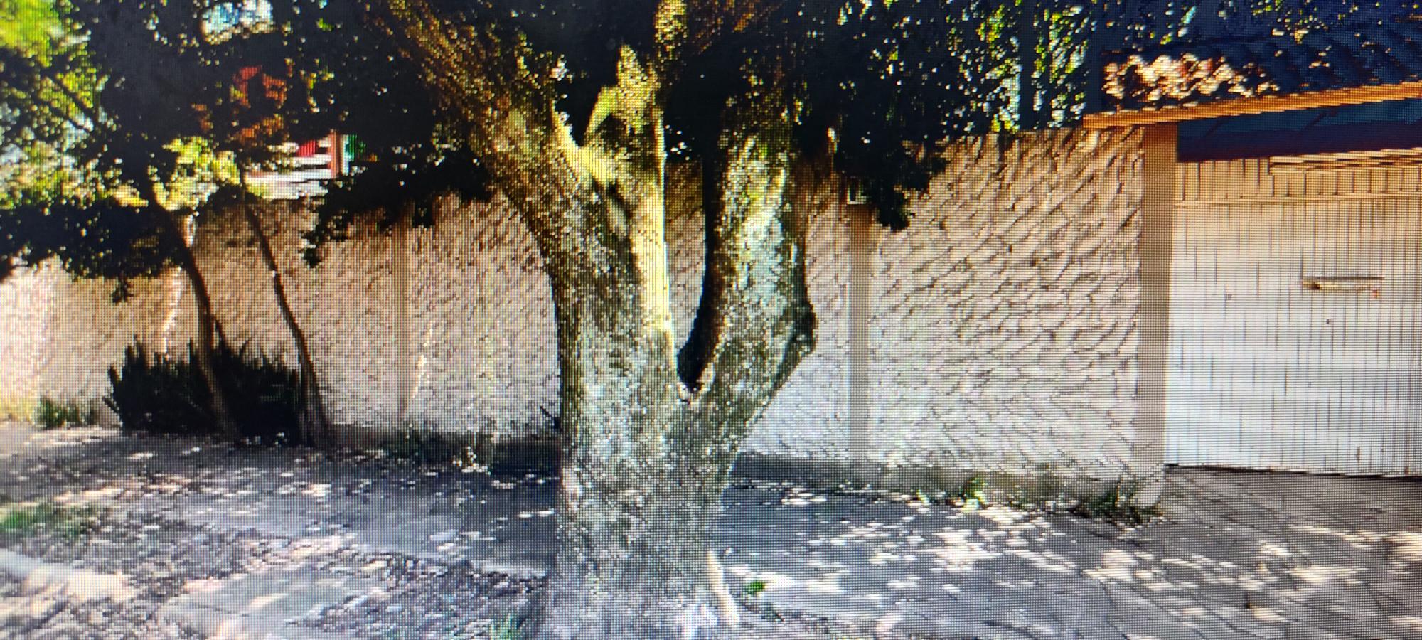 ÓTIMA CASA 2 PISOS COM PISCINA LOCALIZADA NA RUA AFONSINA DA SILVA, 165, PARQUE SINUELO, SÃO LEOPOLDO- RS