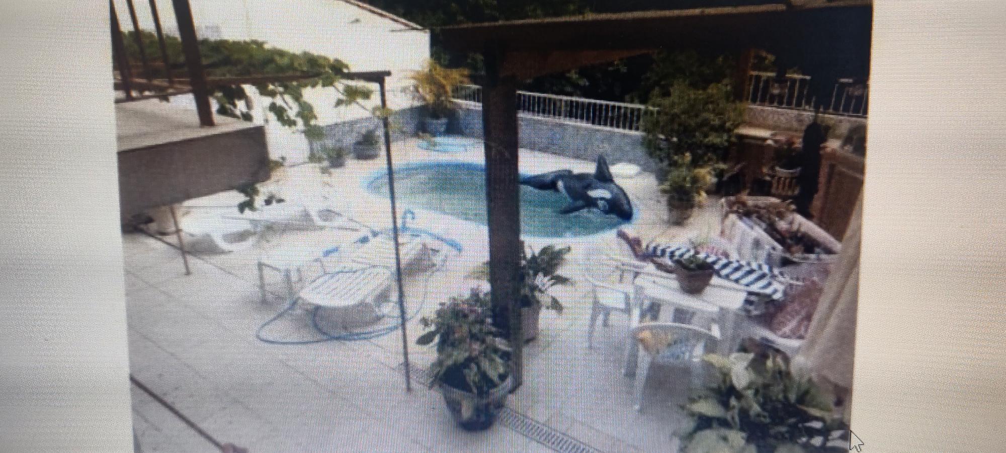 01 Casa Alvenaria Com Piscina, Localizada Na Rua Silverio Souto, 645, Teresópolis, Porto Alegre- Rs, localizado em Porto Alegre - RS, bairro Teresópolis